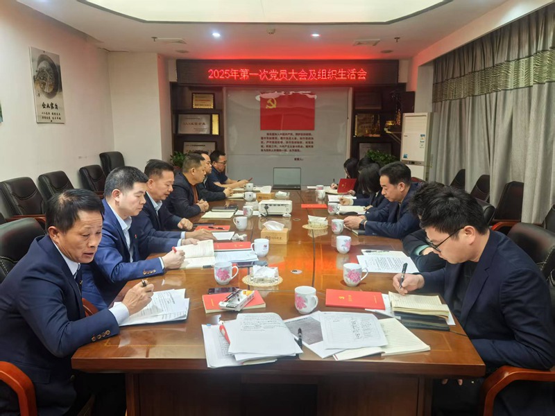 湖南交建集團(tuán)黨支部召開2024年度組織生活會(huì)暨民主評(píng)議黨員會(huì)議