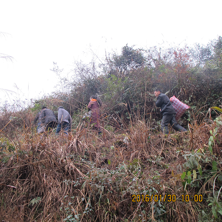 宇通建設(shè)公司向炎陵縣貧寒學(xué)子助學(xué)送溫暖活動(dòng)